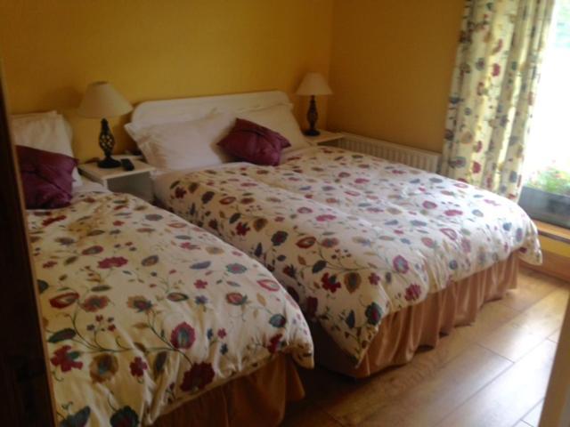 River Edge B&B Jamestown Экстерьер фото